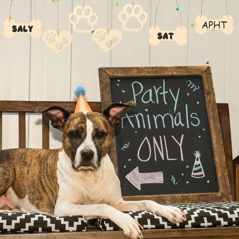 Wood Dog Bone Cutouts Manufacturer - Unfinished for Crafts Party Decor