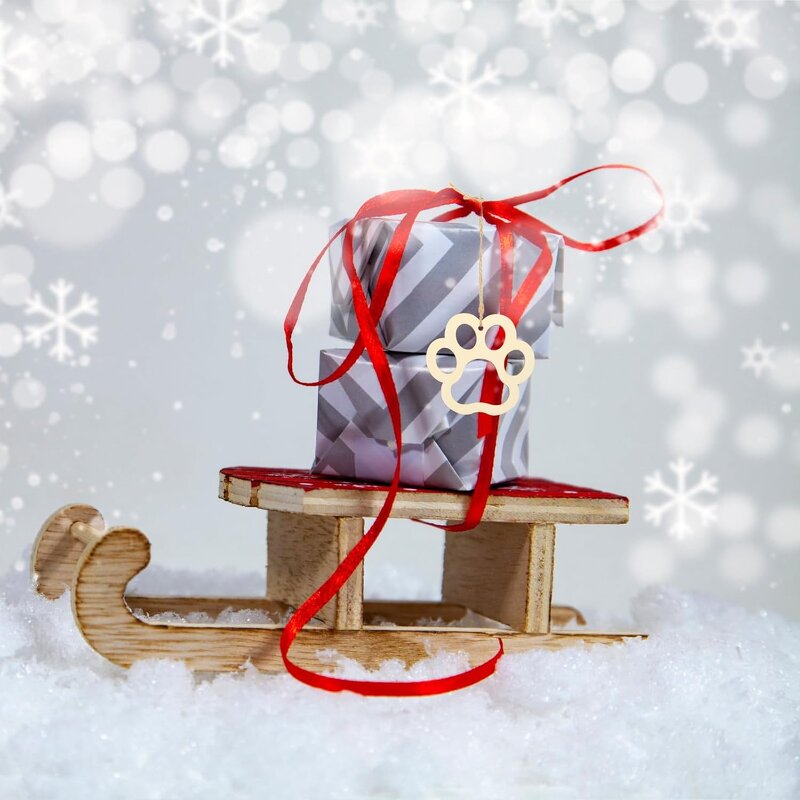 Wood Dog Bone Cutouts Manufacturer - Unfinished for Crafts Party Decor