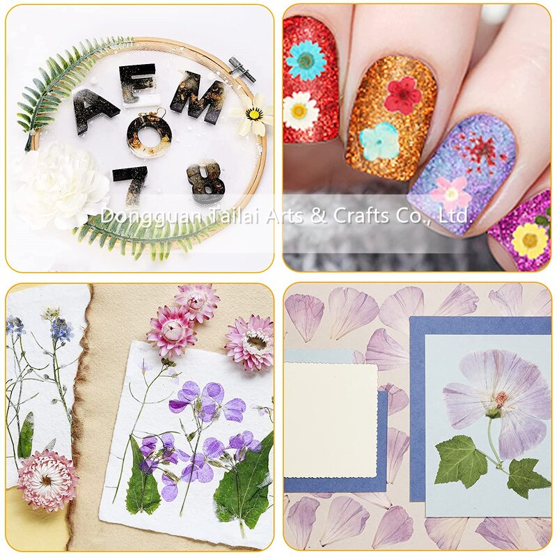 Wooden Wall Art Supplier - Laser Cut Craft for Home Decoration