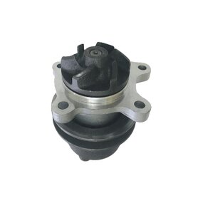Water Pump Supplier - ED0065844380-S for Lombardini Engine