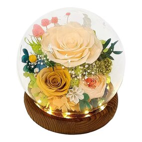 Preserved Rose Dome Factory - LED Gift for Anniversary