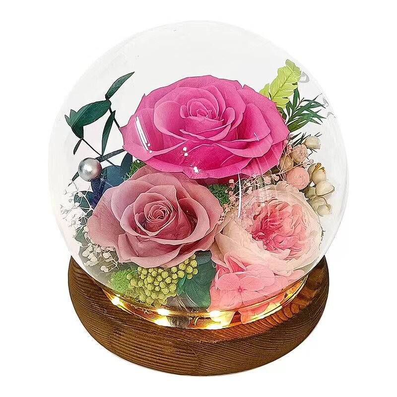 Preserved Rose Dome Factory - LED Gift for Anniversary