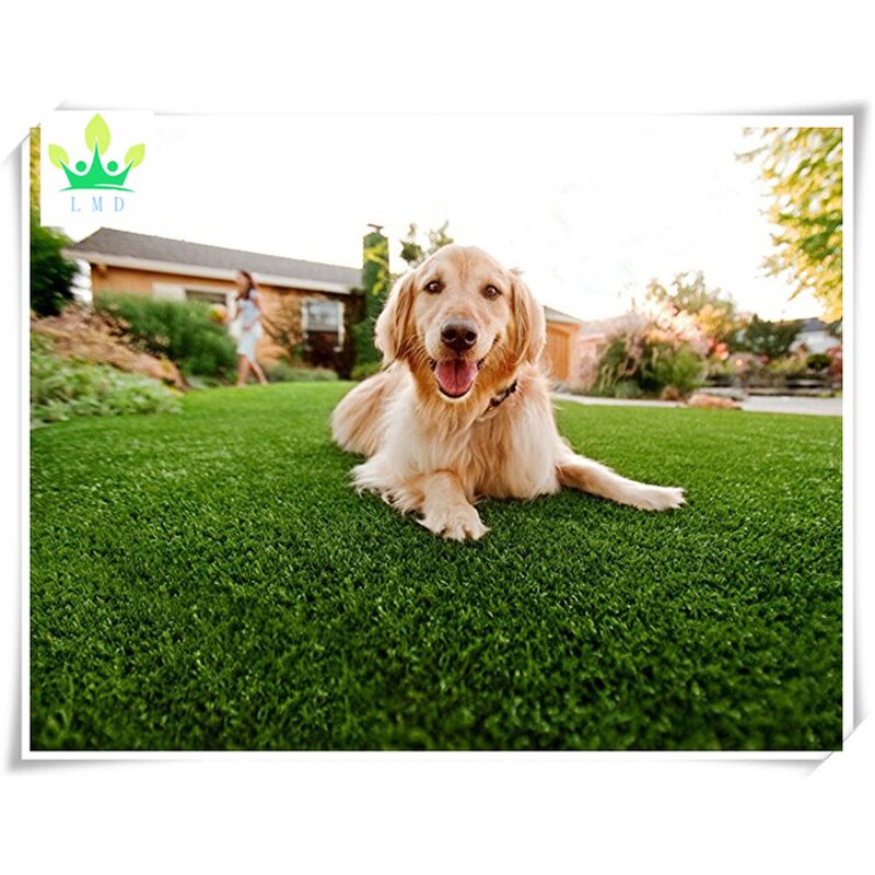 Premium Artificial Turf Factory - Soccer Grass Mat