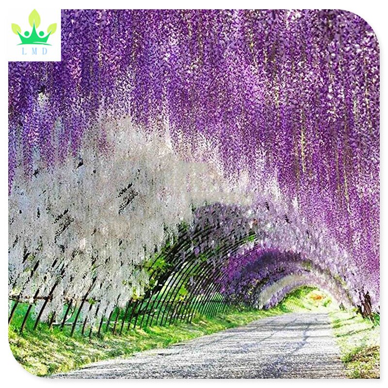 Artificial Rattan Vine Factory - Hanging Silk Flowers