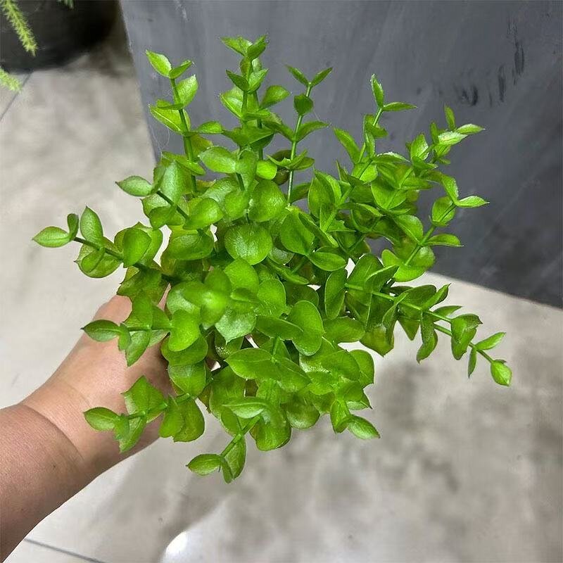 Artificial Fern Stems Factory - Indoor Greenery Decor