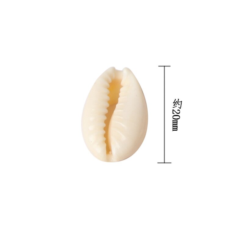 Cowrie Beads Supplier - White Sea Shell Cowry Charm Beach Jewelry DIY