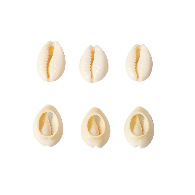 Cowrie Beads Supplier - White Sea Shell Cowry Charm Beach Jewelry DIY