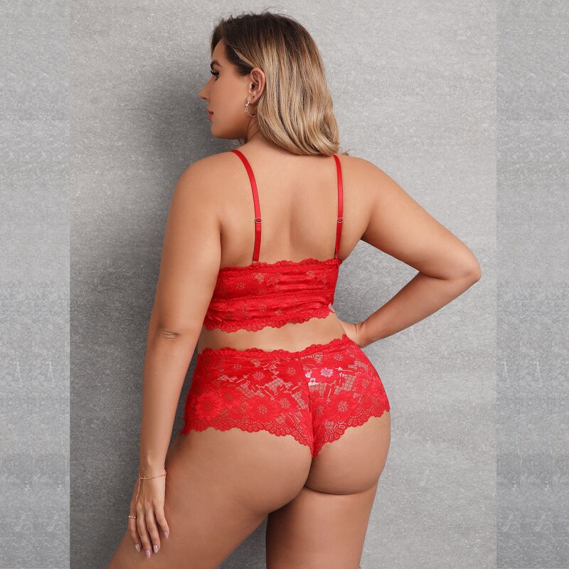 Customized Plus Size Good Quality Hollow Out Lace Colorful Beauty Girl Fat Women Ladies Sexy Christmas Costume Lingerie