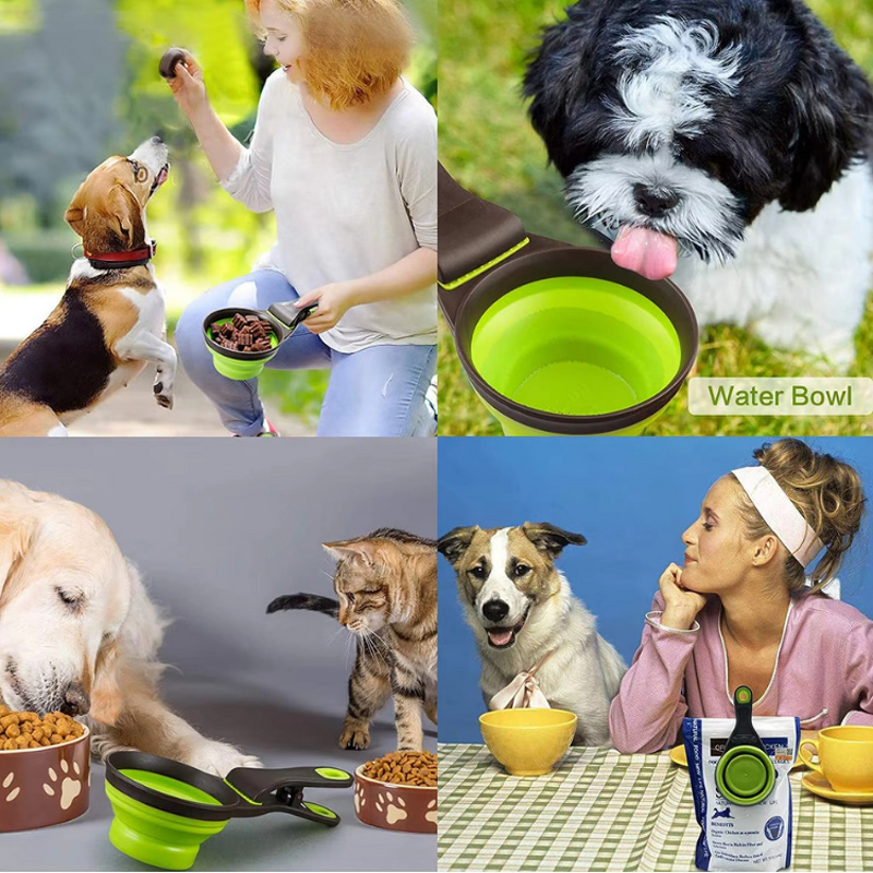 Collapsible Dog Bowl Manufacturer - Custom Portable Foldable Feeding Bowl