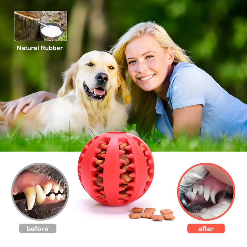 Dog Chew Toy Manufacturer - Wholesale Custom Interactive Tooth Cleaning Balls