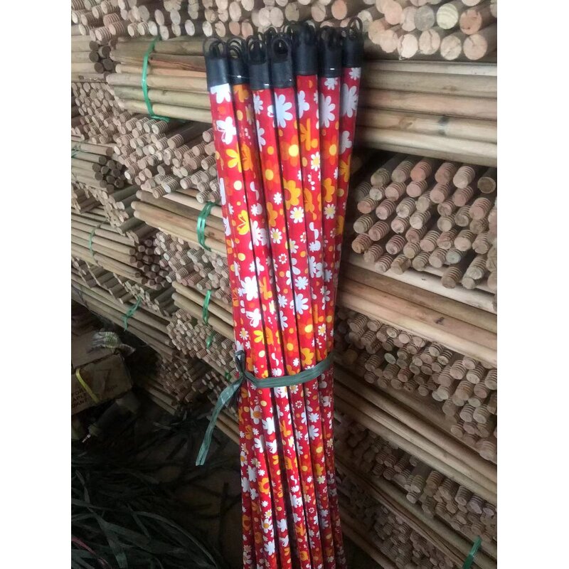 Broom Manufacturer - Eucalyptus Wood Handle 2-in-1 Soft Bristles Mop Brush