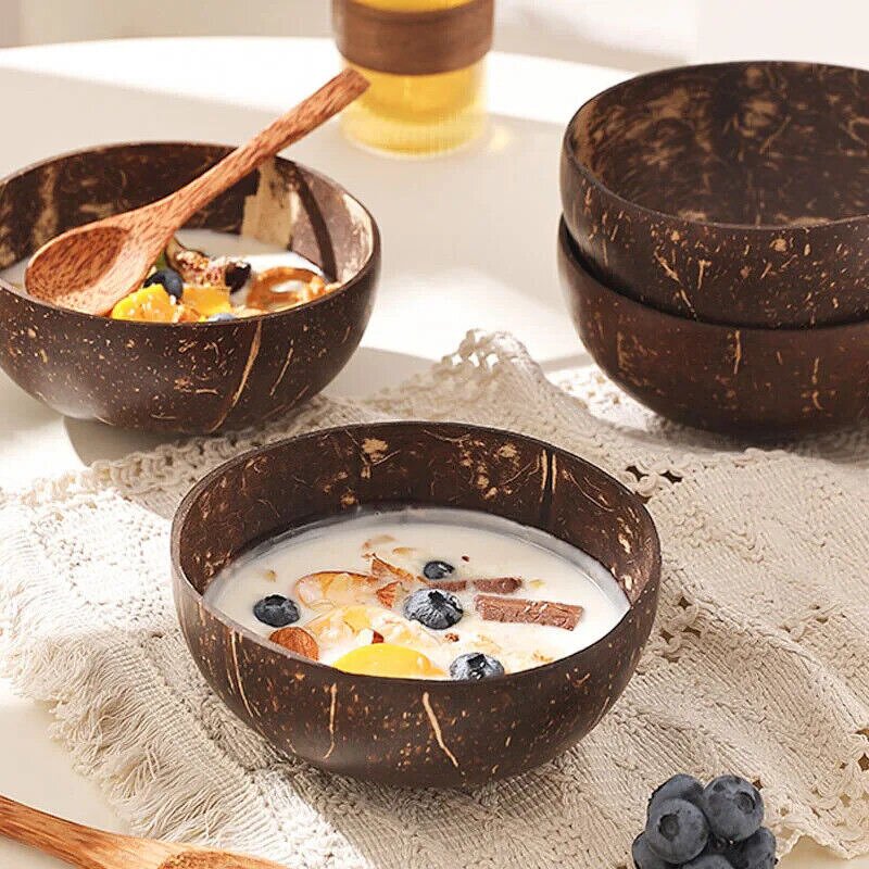 Coconut Bowl Manufacturer - Wholesale Handmade Polished Natural Coconut Shell Bowl
