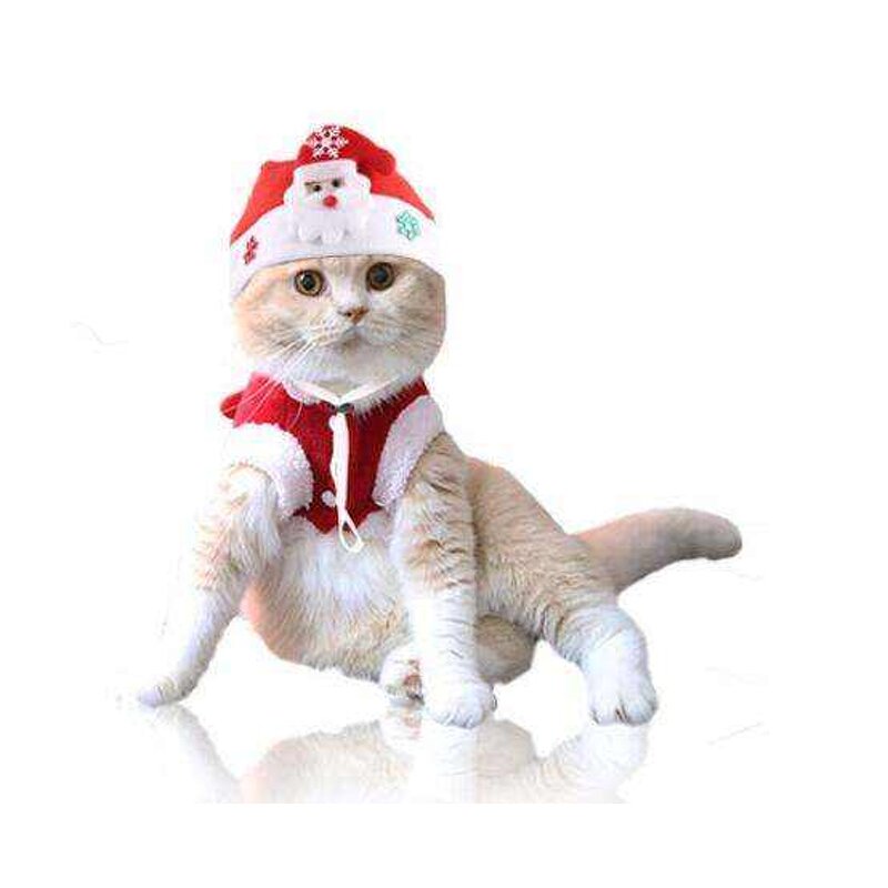 Knit Santa Hat for Pets Factory - OEM Wholesale Cute Winter Puppy Kitten New Year Headwear Christmas