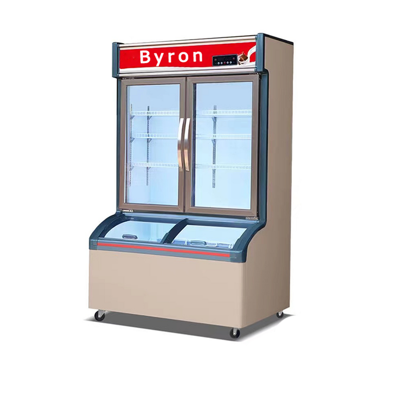 Multifunctional Refrigerator Manufacturer - Convenience Store Fridge Freezer