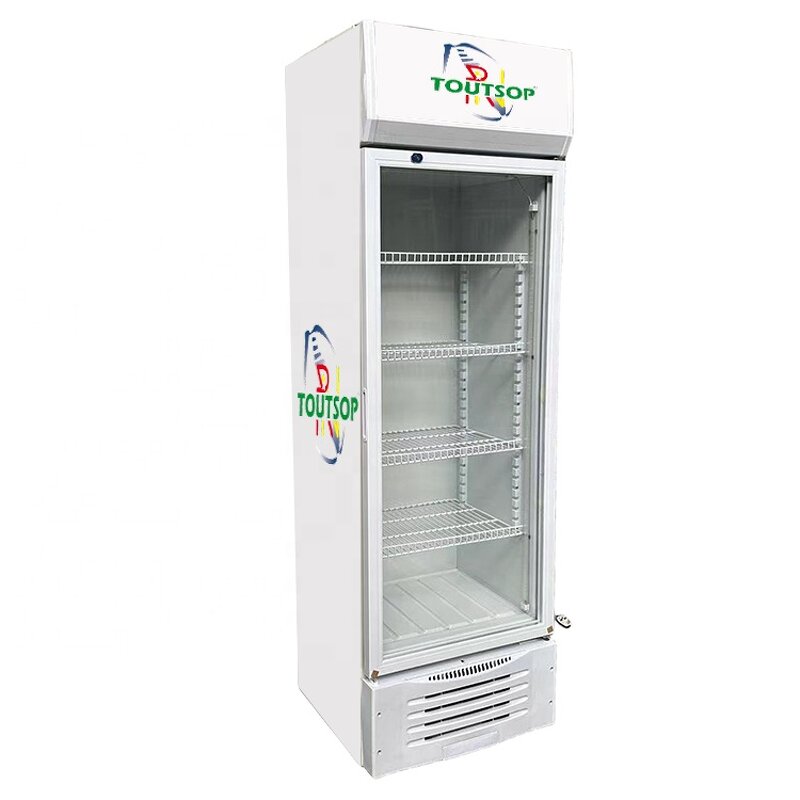 Display Refrigerator Manufacturer - Electric Beverage Chiller Fish Refrigerator