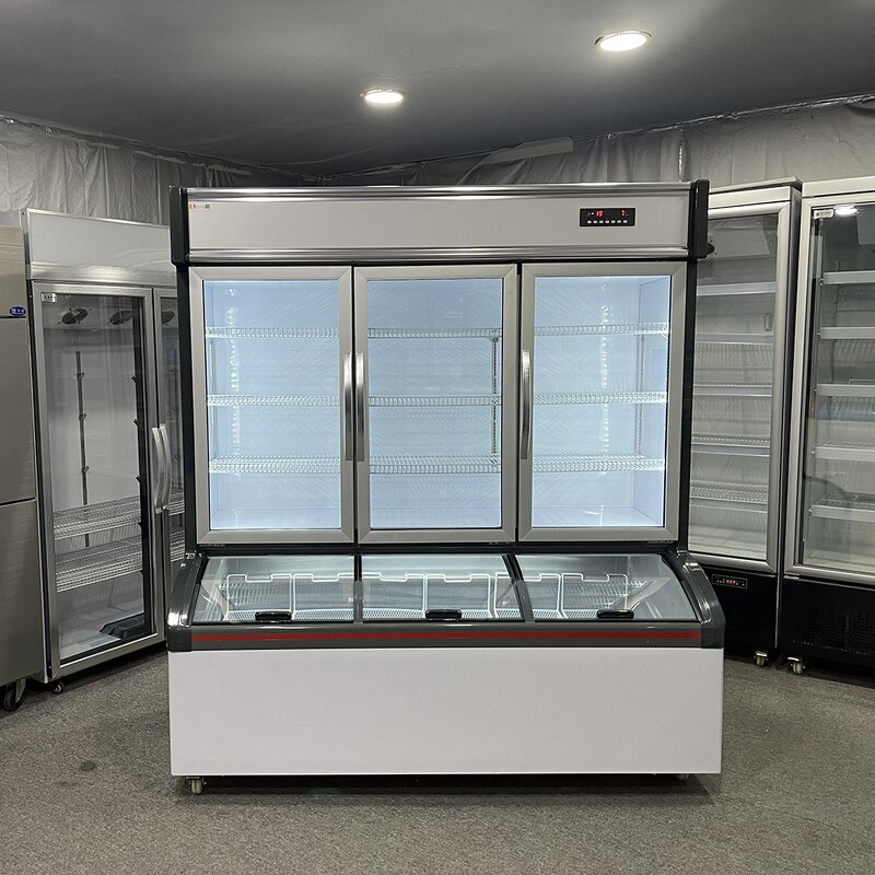 Multifunctional Refrigerator Manufacturer - Convenience Store Fridge Freezer