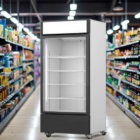Display Freezer Manufacturer - Supermarket Upright Beverage Showcase Cooler