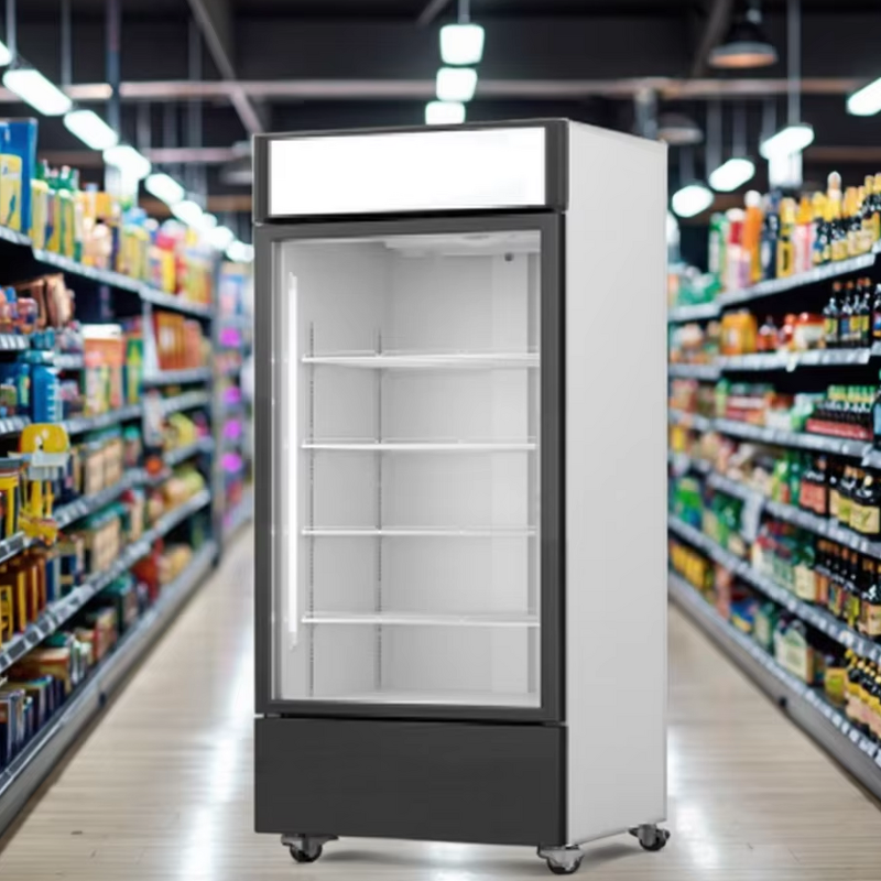 Display Freezer Manufacturer - Supermarket Upright Beverage Showcase Cooler