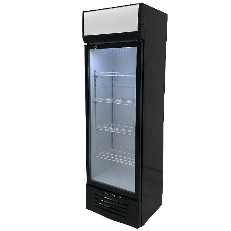 Display Refrigerator Manufacturer - Electric Beverage Chiller Fish Refrigerator
