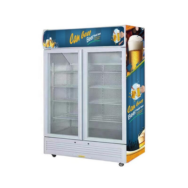 Display Freezer Manufacturer - Double Glass Door Commercial Vertical Cooler