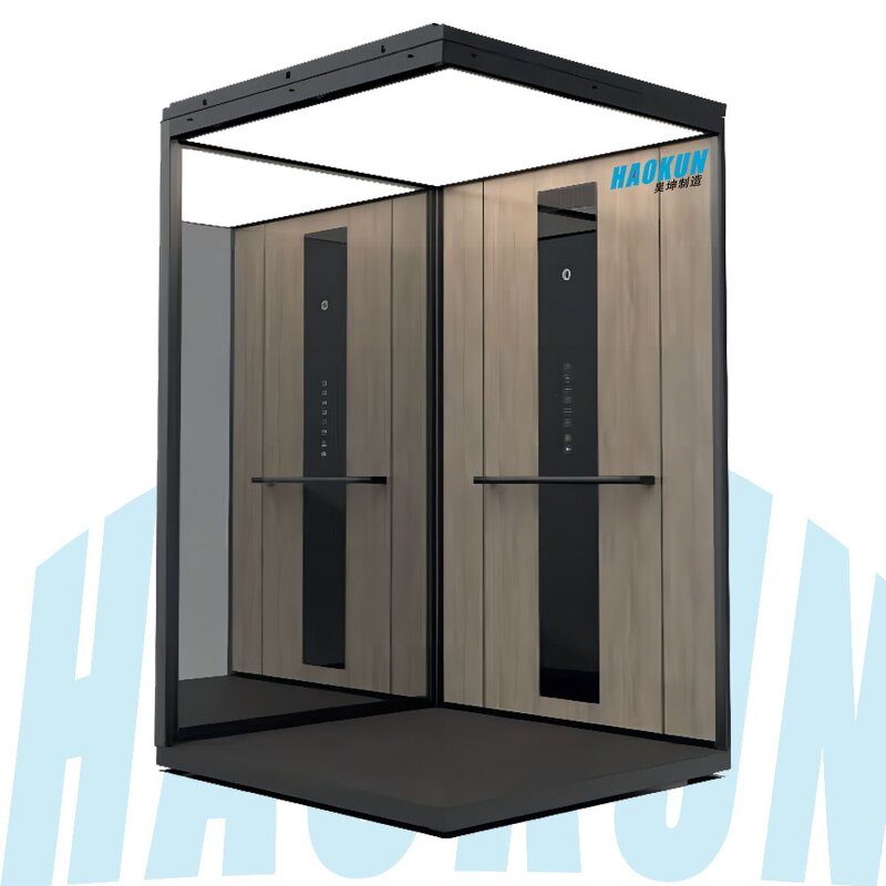 Home Elevator Manufacturer - Professional 0.4m/s 320kg Shaftless Glass Lift