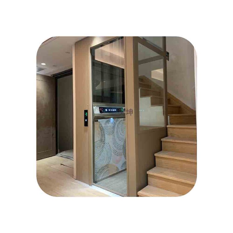 Home Elevator Manufacturer - 2-5 Floor 450kg Small Glass Antique Elevator