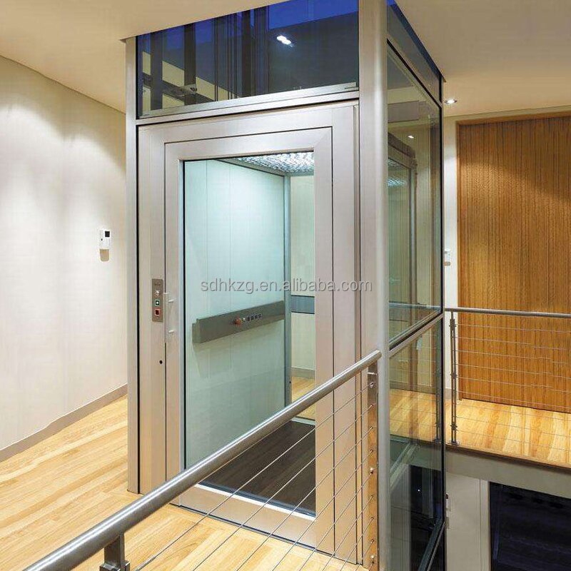 Home Elevator Manufacturer - Professional 0.4m/s 320kg Shaftless Glass Lift