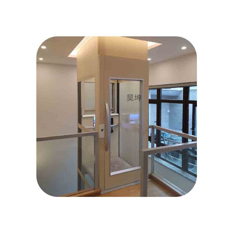 Home Elevator Manufacturer - 2-5 Floor 450kg Small Glass Antique Elevator