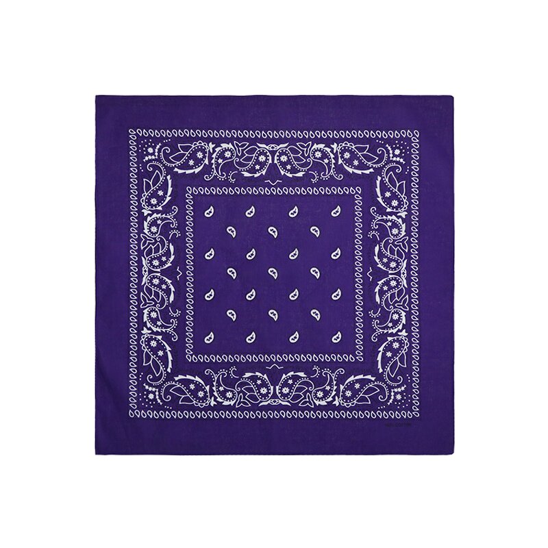 Bandana Factory - OEM Factory Double Print Logo Fans Square