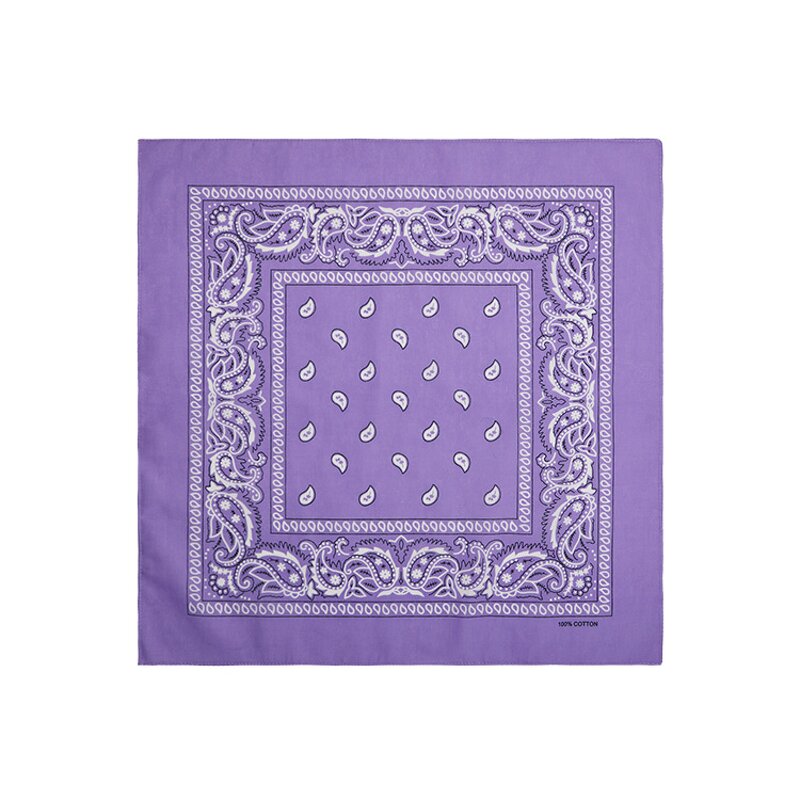 Bandana Factory - OEM Factory Double Print Logo Fans Square