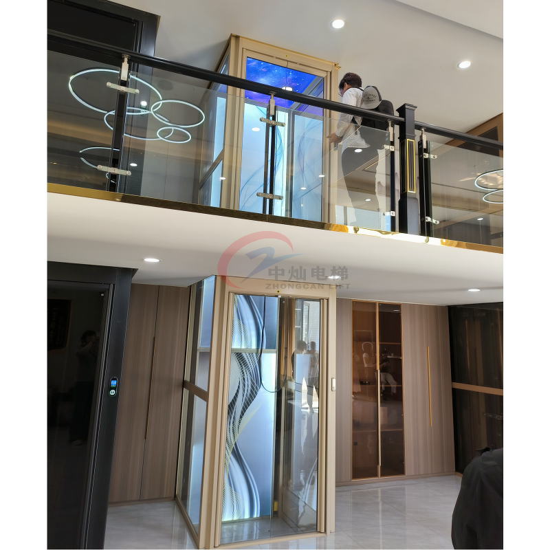 Home Elevator Manufacturer - China Hydraulic External Residential House Lift