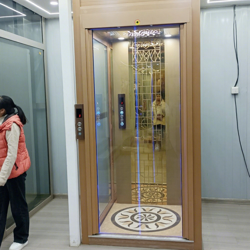 Home Elevator Manufacturer - Glass Panoramic Hydraulic Villa House Elevator