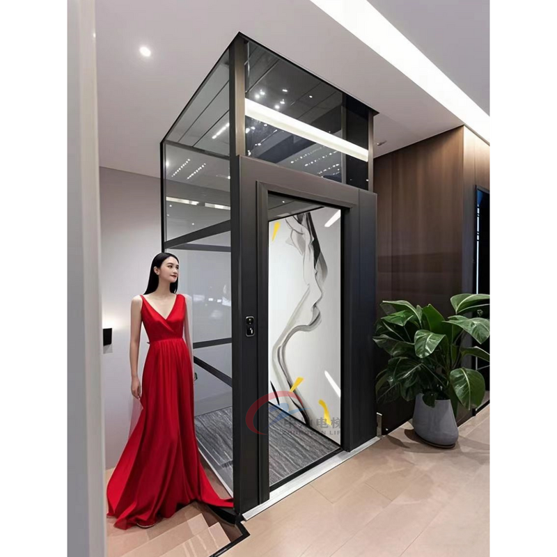 Residential Elevator Manufacturer - CE Certified Outdoor Hydraulic Home Lift