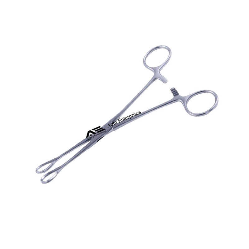 Surgical Instruments Foerster Sponge Holding Forceps Without Lock Straight Holding Veterinary Instruments
