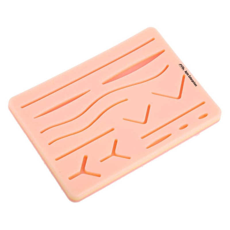 Best Selling Anatomical Model With Realistic Suture Practice Skin Made From Silicone and PVC for Medical Student Training