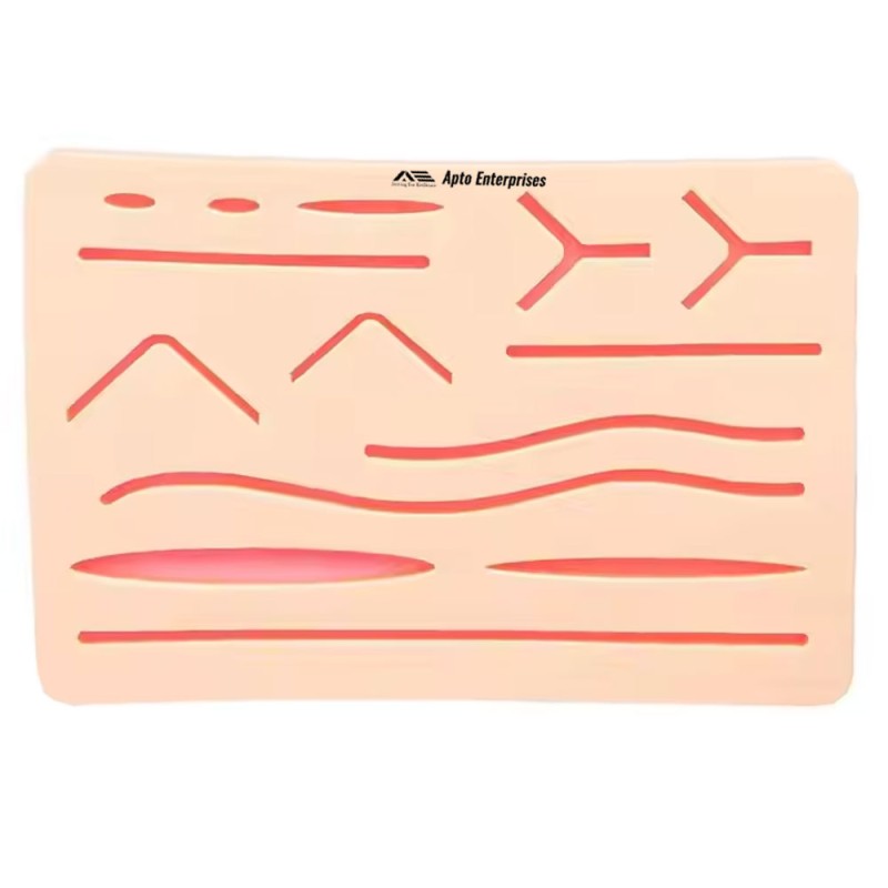 Best Selling Anatomical Model With Realistic Suture Practice Skin Made From Silicone and PVC for Medical Student Training