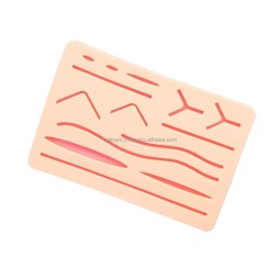 Best Selling Anatomical Model With Realistic Suture Practice Skin Made From Silicone and PVC for Medical Student Training