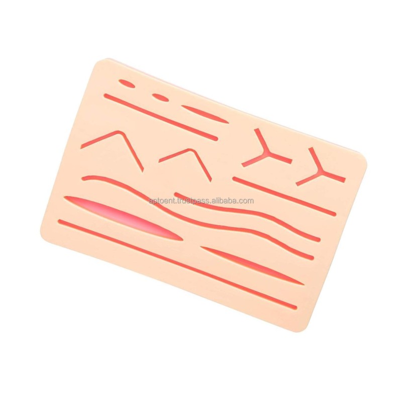 Best Selling Anatomical Model With Realistic Suture Practice Skin Made From Silicone and PVC for Medical Student Training