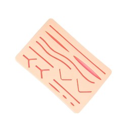 New Edition Suture Skin Pad for Veterinary Students Teaching Resource for Medical Students by Apto Enterprises