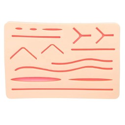 Medical Science Training Material Anatomical Model Silicone and PVC Suture Practice Skin by Apto Enterprises
