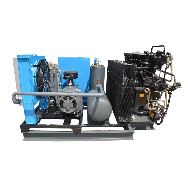 Booster Compressor Factory - OEM Industrial Oil-Free High Pressure 30-350bar Reciprocating Booster Motor