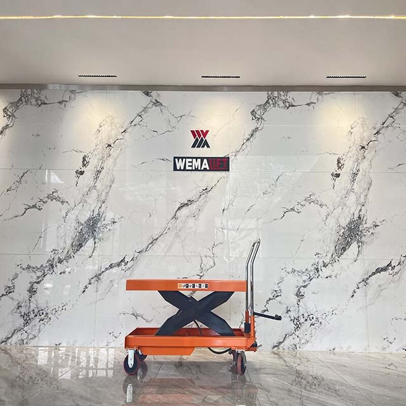 Lift Table Manufacturer - Custom Logo High Quality Adjustable Height Lift Table