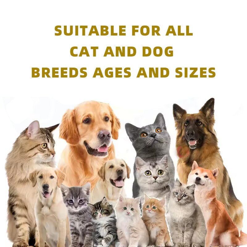 Organic Pet Shampoo Factory - Paraben Free Flea Relief