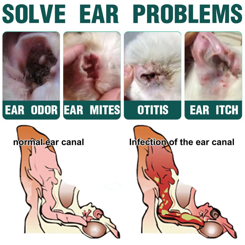 Ear Drops for Pets Supplier - Ear Mite Treatment Cleaner