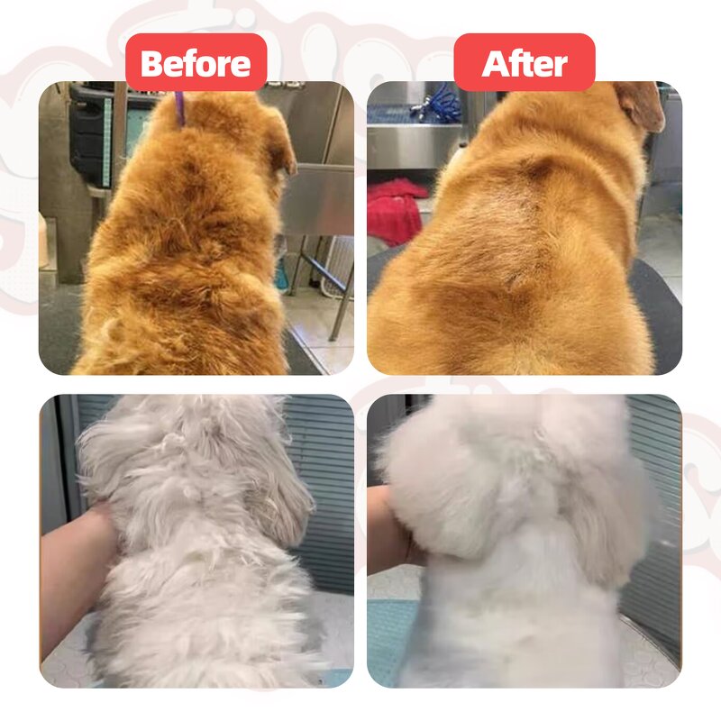 6-in-1 Pet Shampoo Supplier - Luxury Eco-Friendly