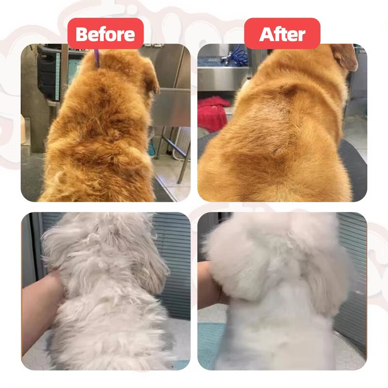 Eco-Friendly Dog Shampoo Manufacturer - Mild Natural Fragrance