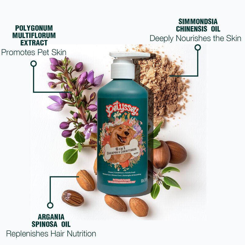 Coconut Pet Shampoo Supplier - Anti Fungal Cleaning