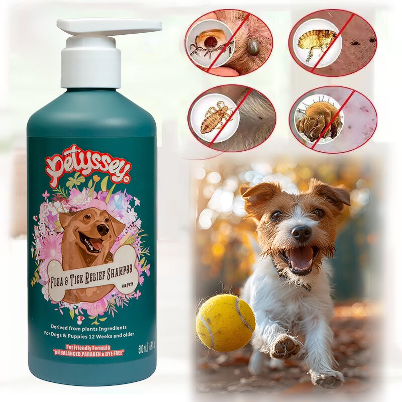 Advanced Dog Shampoo Supplier - Flea and Tick Treatment