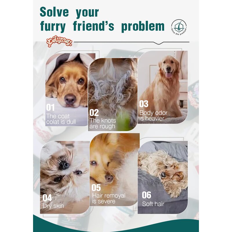 Pet Shampoo Manufacturer - 6 In1 Sulfate Free Deodorizing