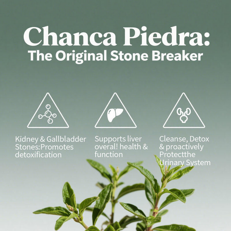 Kidney Detox Capsules Factory - Wholesale Stone Cleaning Support for Bladder Liver